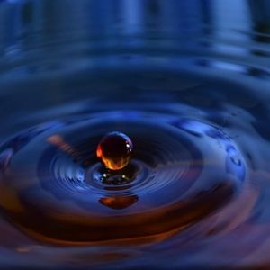 Meet your Posher, Edwardo